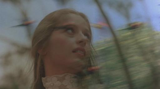 Picnic at Hanging Rock - Miranda surprise par les oiseaux