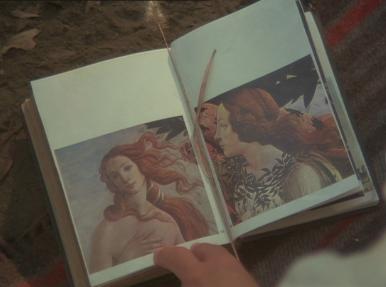 Picnic at Hanging Rock - Ange de Botticelli