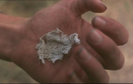 Picnic at Hanging Rock - Le morceau de dentelle