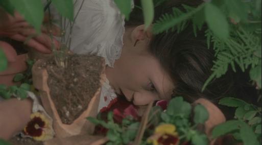 Picnic at Hanging Rock - Sara morte